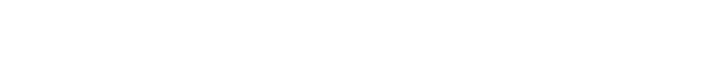 Qt Technology Partner